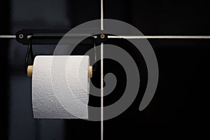 Roll of white toilet paper on holder made of wood and metal in left part of the picture.