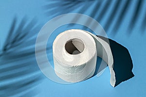 Roll of a white toilet paper isolated on a blue background under a palm tree shadow close-up. hard shadows from the sun at noon