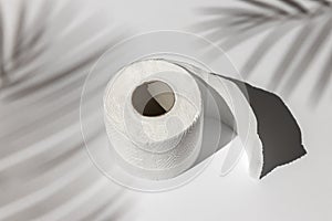 Roll of a white toilet paper isolated on a gray background under a palm tree shadow close-up. hard shadows from the sun at noon