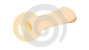 Rolled Ancient Parchment Scroll Map, vector design Generative AI