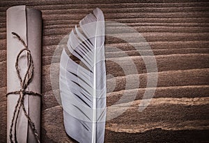 Rolled antique document plume on wooden board