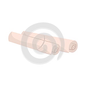 Rolled architecture plans. Vector