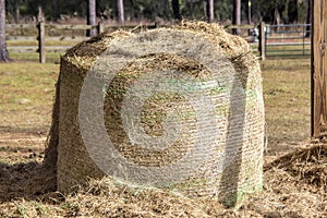 Rolled Bale of Hay in Pasture