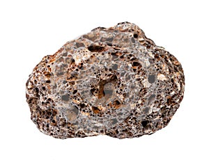 rolled brown Pumice rock isolated on white