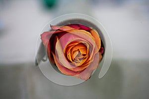 A rolled circular table handkerchief table setting with pink and orrange roses
