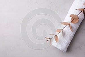 Rolled clean white fluffy terry towel eucalyptus branch on pastel gray stone background. Minimalist scandinavian style