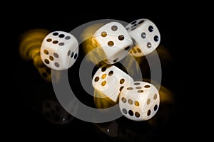 Rolled Dice