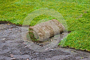 Rolled grass lawn closeup is ready for laying natural grass