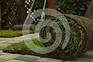 Rolled grass sod on pavement at backyard, closeup. Space for text