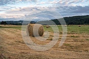 Rolled hay bale on a field at sunset