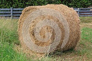 Rolled Hay Bale