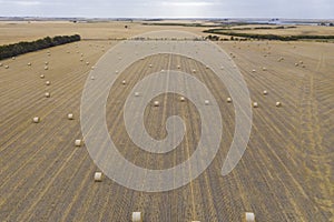 Rolled hay bales in a dry agricultural field in regional Australia