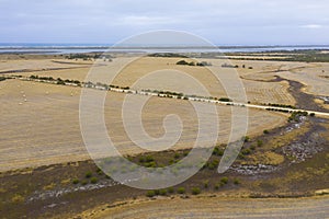Rolled hay bales in a dry agricultural field in regional Australia