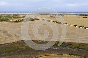 Rolled hay bales in a dry agricultural field in regional Australia