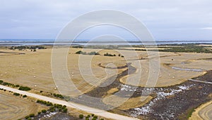 Rolled hay bales in a dry agricultural field in regional Australia