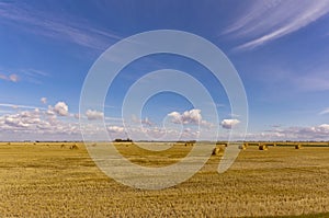 Rolled hay bales on the Saskatchewan prairie