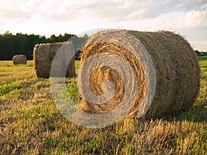 Rolled hay bales at sunset 2