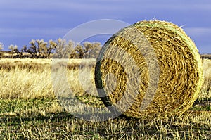 Rolled Hay in the Colorado plains