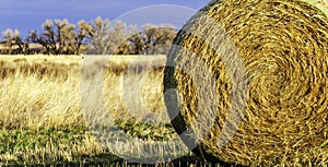 Rolled Hay in the Colorado plains