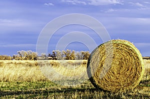 Rolled Hay in the Colorado plains