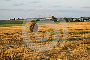 Rolled haystack. hay bale. agriculture field with sky. rural landscape. straw on the meadow. harvest in summer