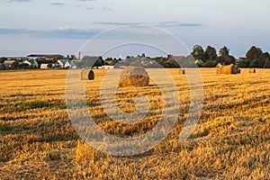 Rolled haystack. hay bale. agriculture field with sky. rural landscape. straw on the meadow. harvest in summer