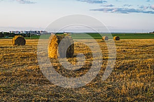 Rolled haystack. hay bale. agriculture field with sky. rural landscape. straw on the meadow. harvest in summer