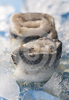 Rolled herring fillet
