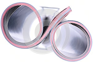 Rolled magazine isolated on white