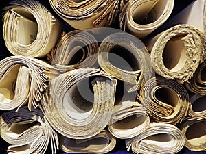 Rolled Manuscripts