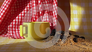 Rolled oats and blueberries for breakfast porridge on kitchen table