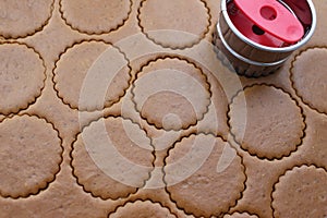 Rolled out brown dough with cut out round cookies