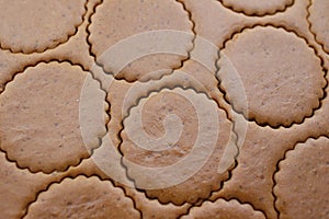 Rolled out brown dough with cut out round cookies