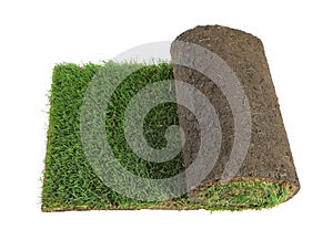Rolled sod with grass on white