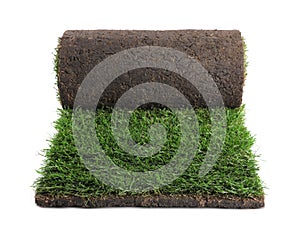 Rolled sod with grass on white