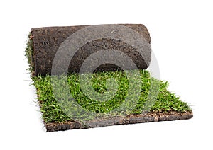 Rolled sod with grass on white background