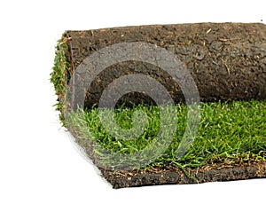 Rolled sod with grass on white background