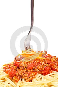 Rolled spaghetti on a fork