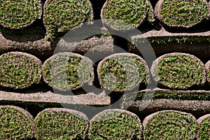 Rolled up Turves, Tewkesbury, Gloucestershire, UK