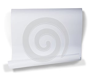 Rolled up white paper photo