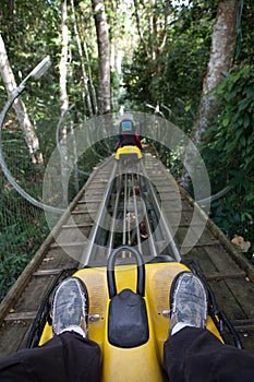 On the Roller Coaster