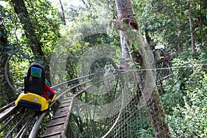 On the Roller Coaster