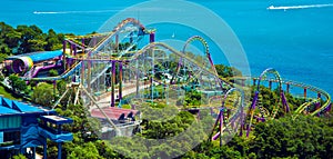 Roller coaster at ocean park hong kong
