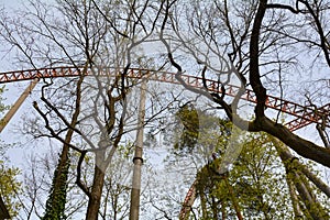 Roller coaster rails between trees