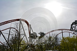 Roller coaster rails between trees