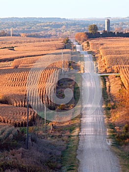 Roller Coaster Road