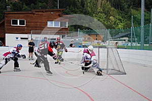 Roller hockey