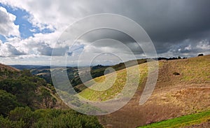 Rolling California Hillside