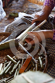 Rolling cheroot cigars