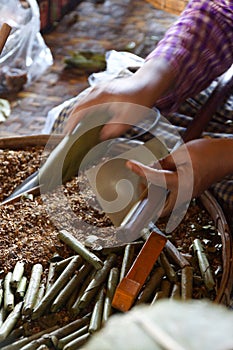 Rolling cheroot cigars